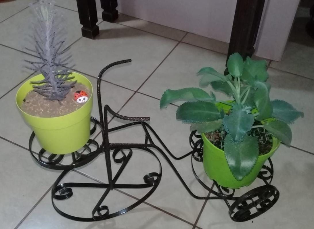 Img 20220405 Wa0187